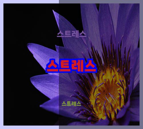 스트레스