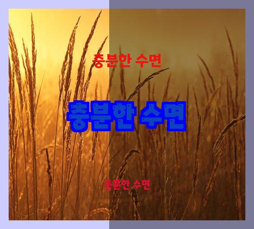 충분한 수면