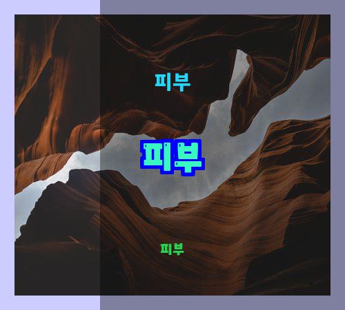 피부