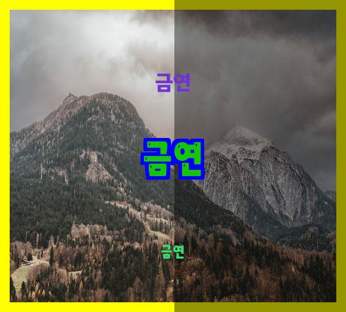 금연