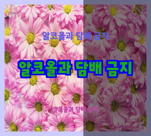 알코올과 담배 금지