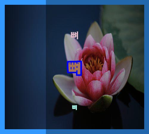 뼈