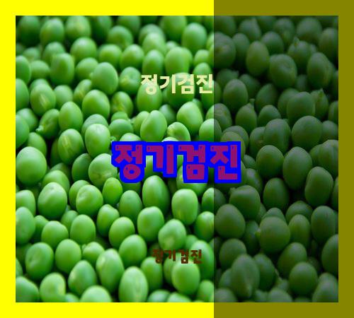정기검진