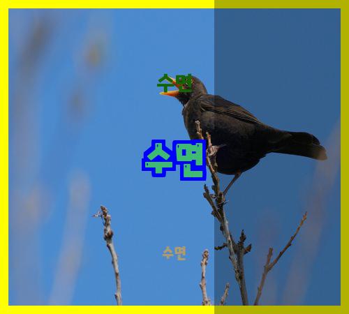 수면