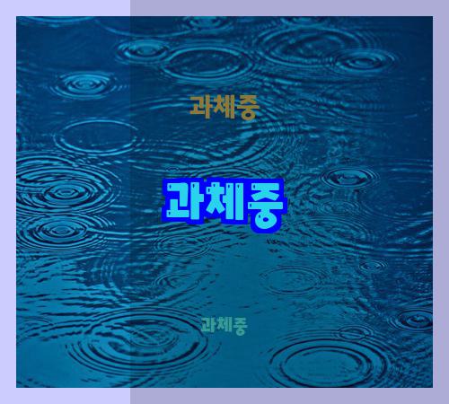 과체중