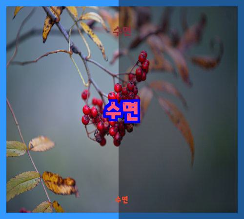 수면