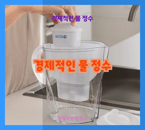 경제적인 물 정수