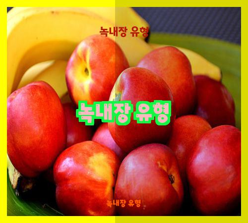 녹내장 유형