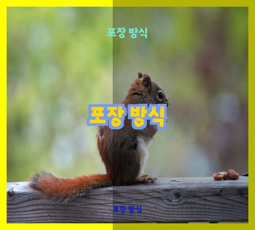포장 방식