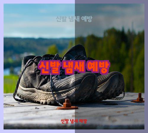 신발 냄새 예방