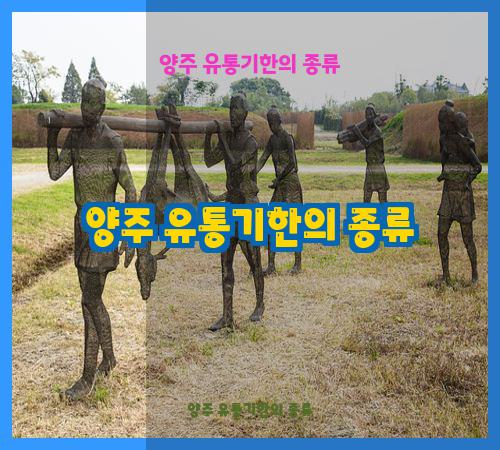 양주 유통기한의 종류