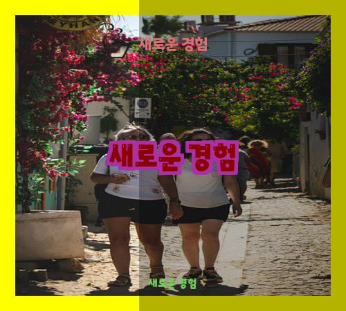 새로운 경험
