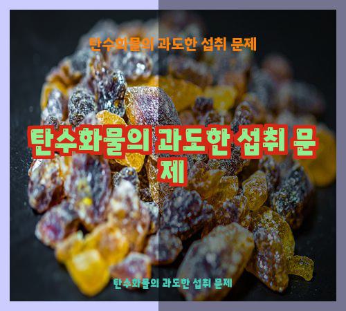 탄수화물의 과도한 섭취 문제