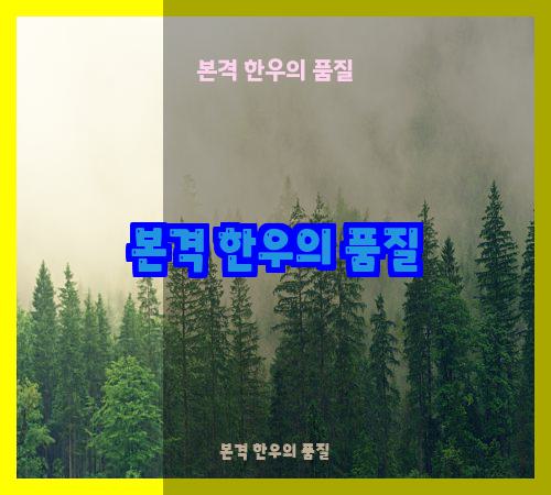 본격 한우의 품질