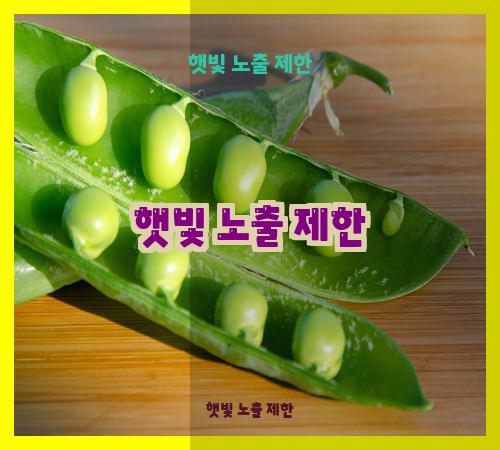 햇빛 노출 제한