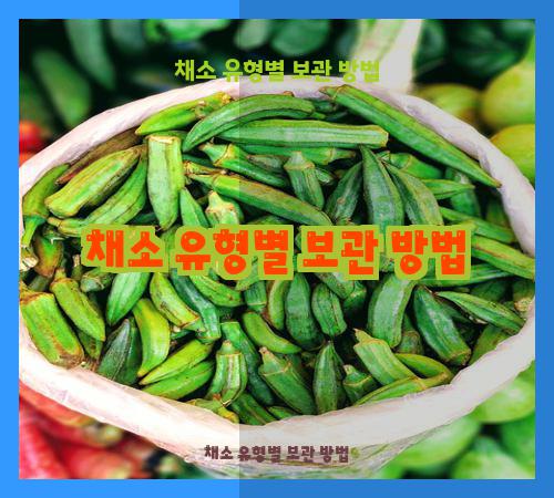 채소 유형별 보관 방법