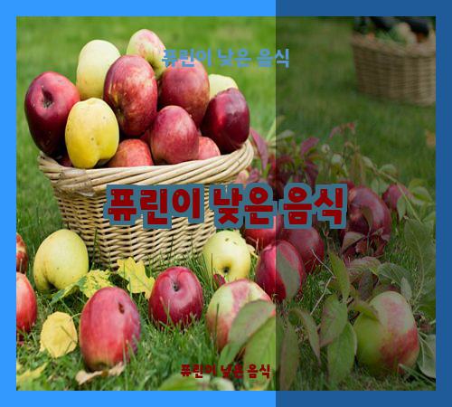 퓨린이 낮은 음식