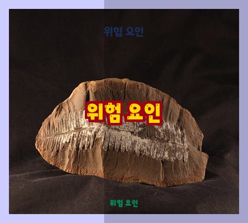 위험 요인