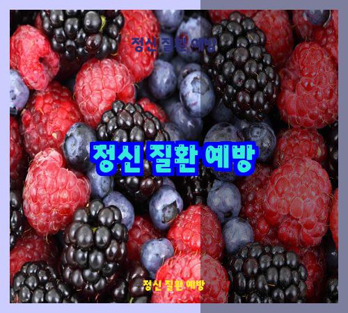정신 질환 예방