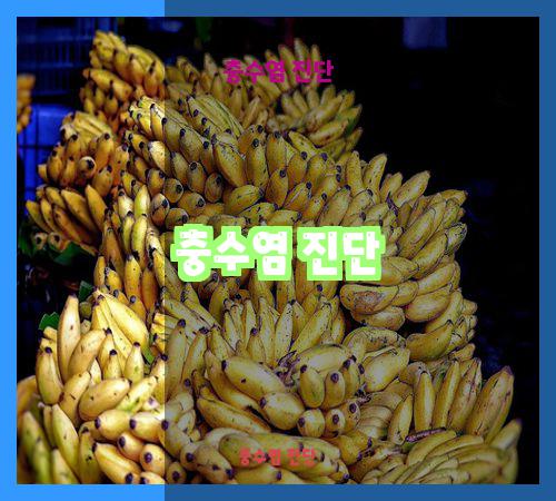 충수염 진단