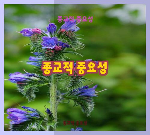 종교적 중요성