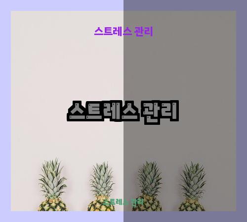 스트레스 관리