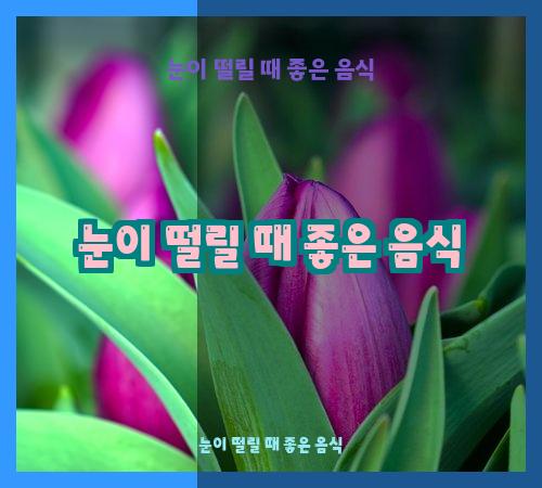 눈이 떨릴 때 좋은 음식