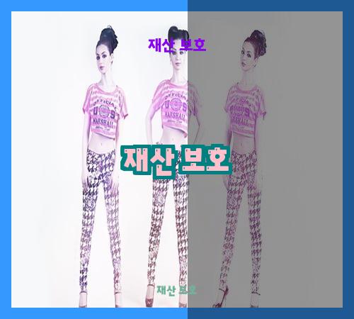 재산 보호
