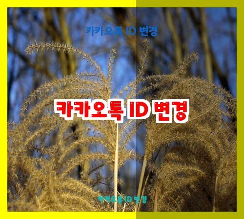 카카오톡 ID 변경