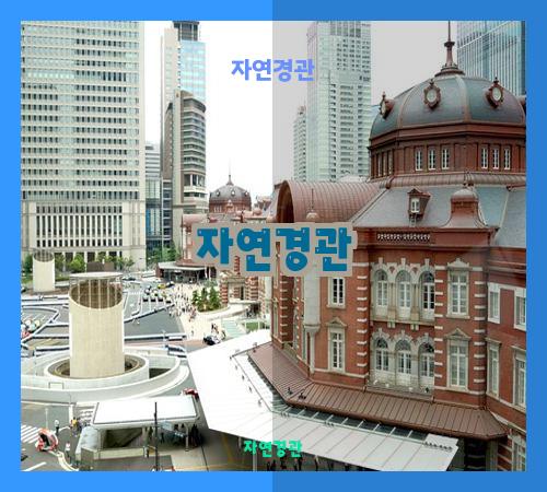자연경관