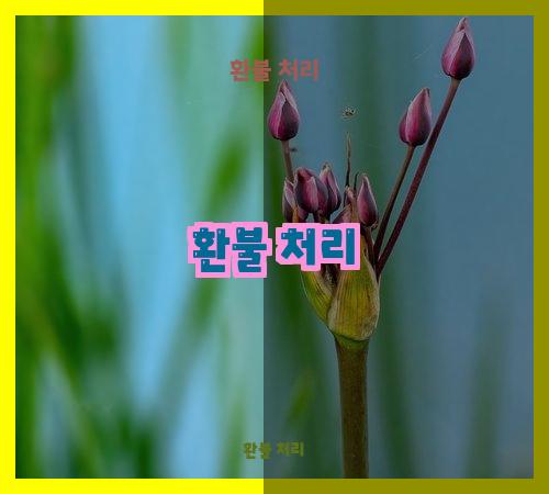 환불 처리