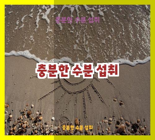 충분한 수분 섭취