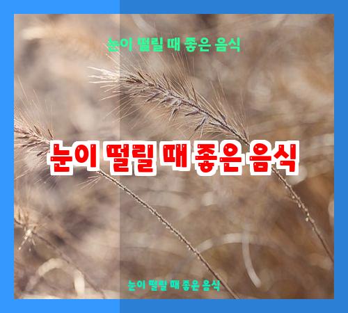 눈이 떨릴 때 좋은 음식