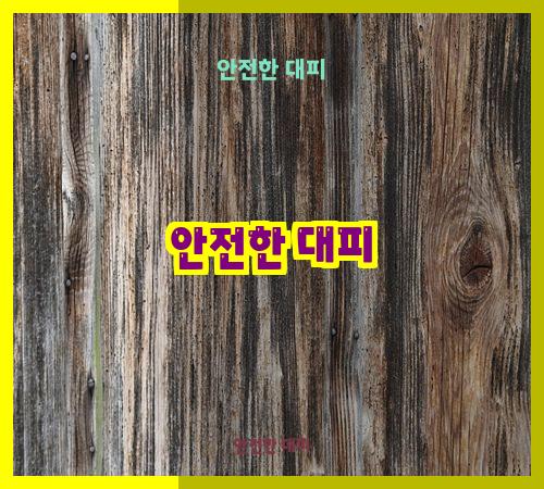 안전한 대피