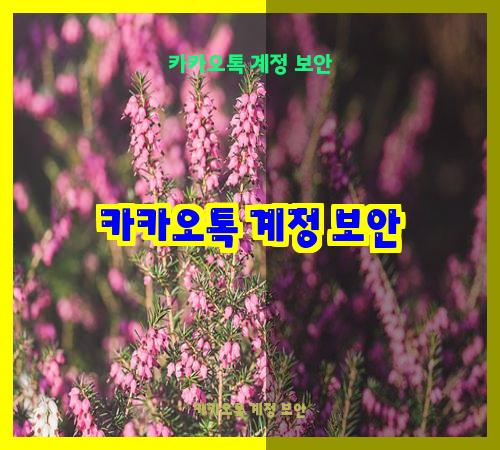 카카오톡 계정 보안