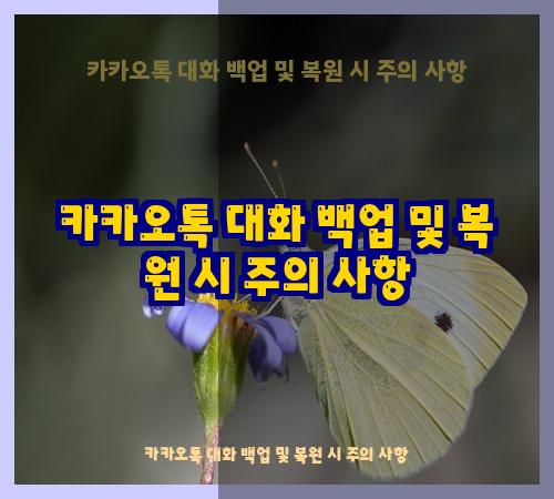 카카오톡 대화 백업 및 복원 시 주의 사항