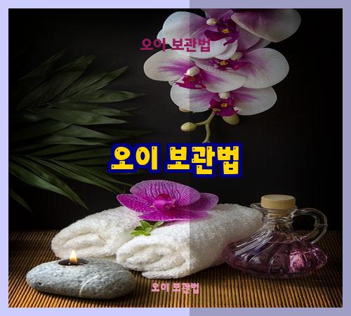 오이 보관법
