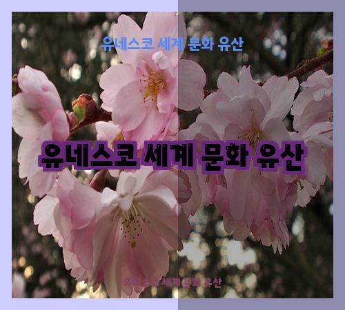 유네스코 세계 문화 유산