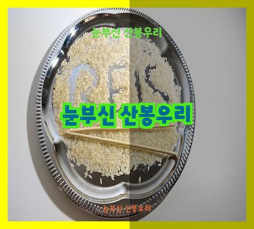 눈부신 산봉우리