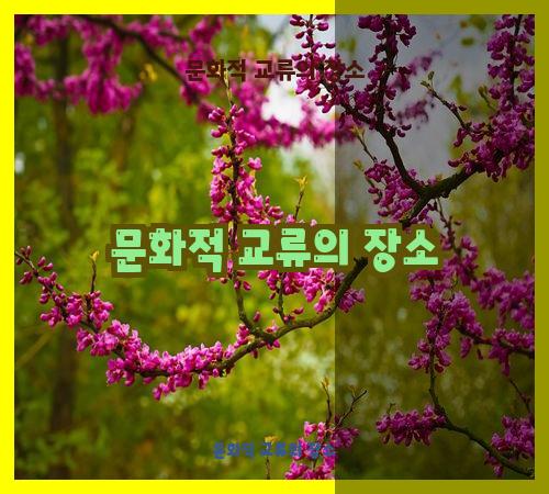 문화적 교류의 장소