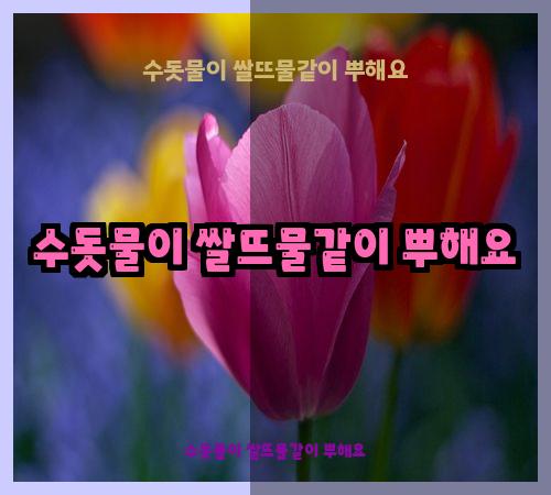 수돗물이 쌀뜨물같이 뿌해요