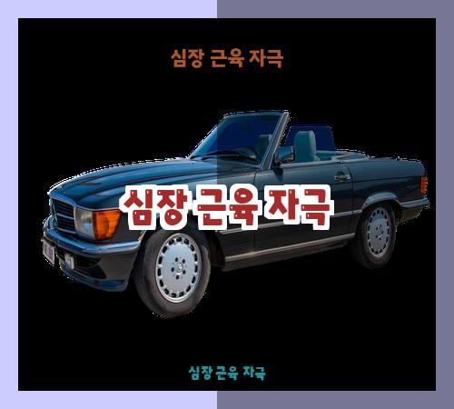 심장 근육 자극