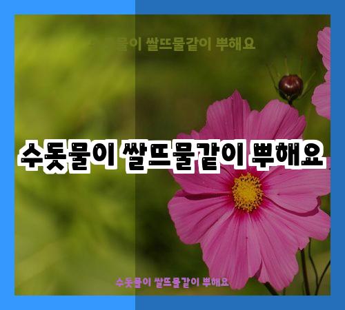 수돗물이 쌀뜨물같이 뿌해요