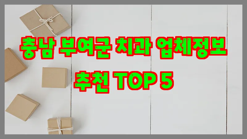 충남 부여군 치과 업체정보 추천 TOP 5