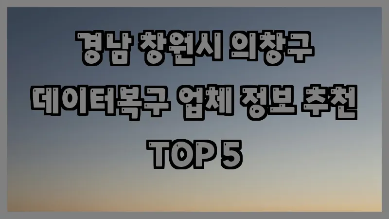 경남 창원시 의창구 데이터복구 업체 정보 추천 TOP 5