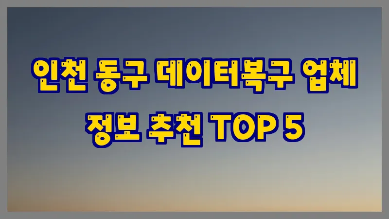 인천 동구 데이터복구 업체 정보 추천 TOP 5