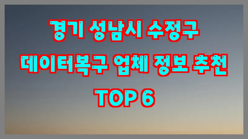 경기 성남시 수정구 데이터복구 업체 정보 추천 TOP 6