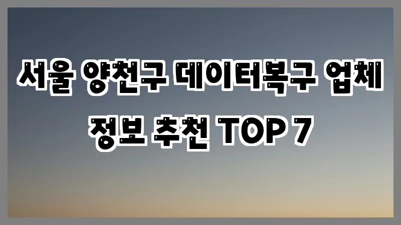 서울 양천구 데이터복구 업체 정보 추천 TOP 7
