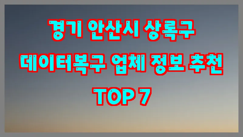 경기 안산시 상록구 데이터복구 업체 정보 추천 TOP 7