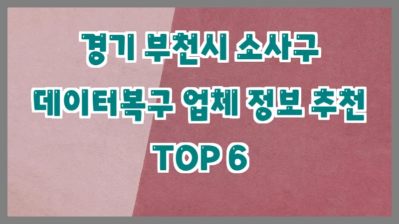 경기 부천시 소사구 데이터복구 업체 정보 추천 TOP 6